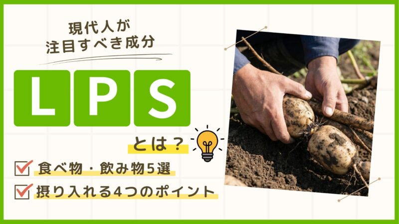 LPSとは？注目される理由と含まれる食品、一緒に意識したい成分を解説 